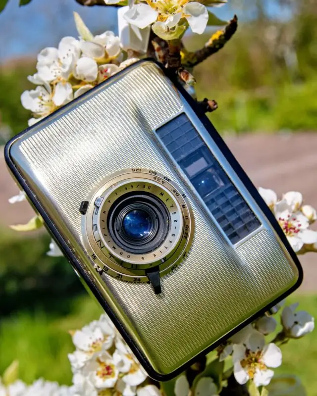 345204820 1587429158399769 8086675150091003436 nfull