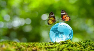 Composing mit dem Mazelle Kreativ Studio Schmetterlinge auf der Erdkugel